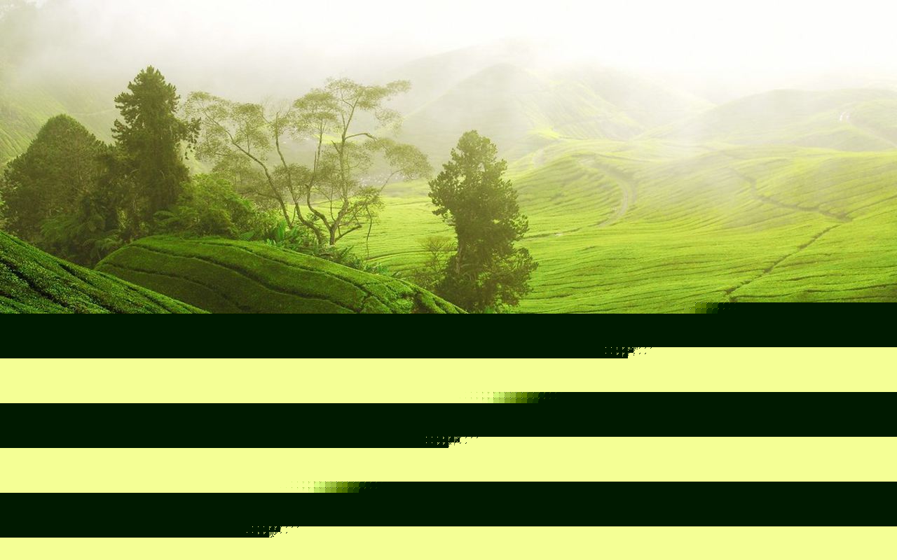 1559092290397070956.jpg 52914.jpg