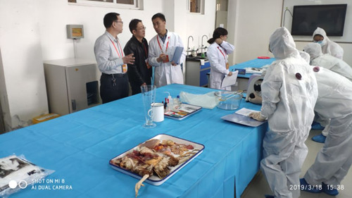 1553068858161043541.jpg 1.jpg