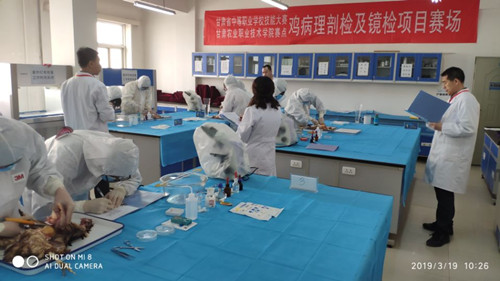 1553068875287046711.jpg 2.jpg