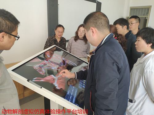 1540176313084071069.jpg IMG_20180928_095453_鍓湰.jpg