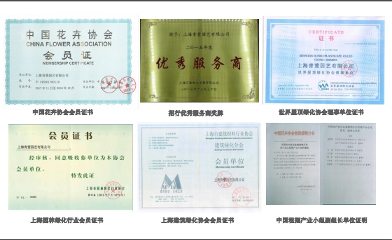 1585880855685064335.png 鍥剧墖2.png