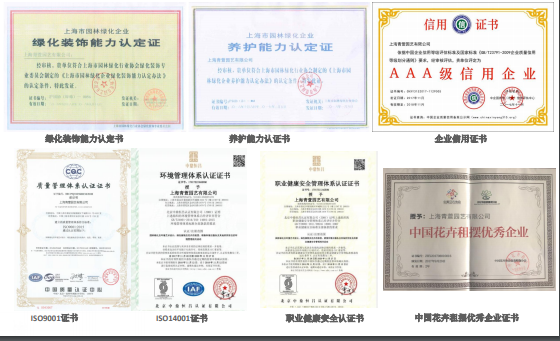 1585880840132035183.png 鍥剧墖1.png