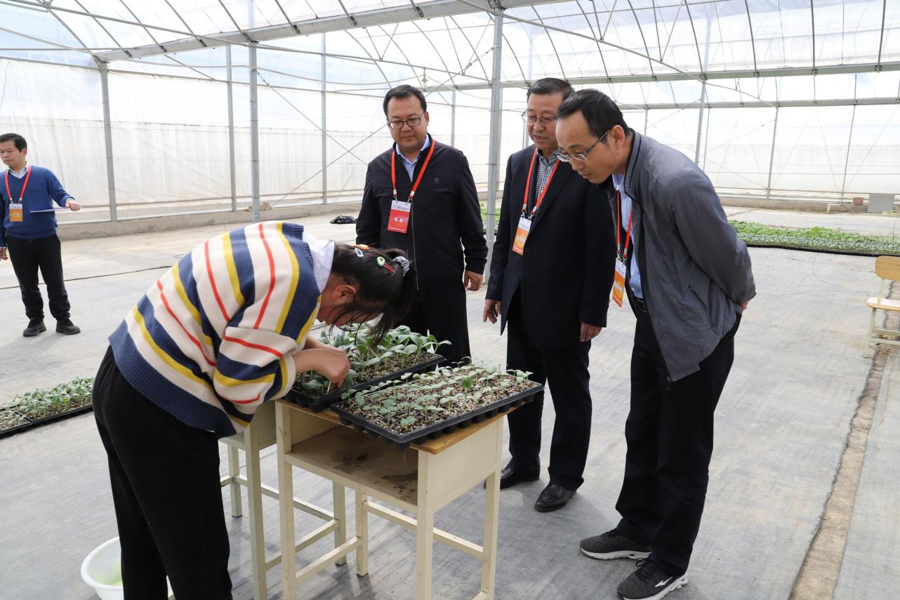 1618563809558045962.jpg 1618563809558045962.jpg