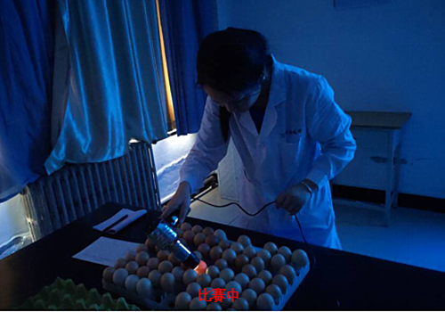 1530495220187087743.png 3_鍓湰.png