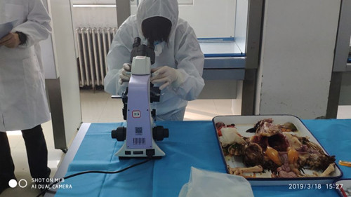 1553068910812086043.jpg 4.jpg