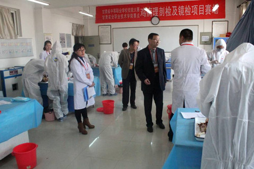 1521776502926077657.jpg Cache_-63ec5c3c2350659c._鍓湰.jpg