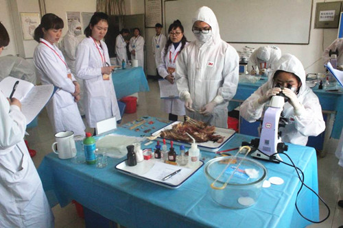 1521776775069088651.jpg 鐭氦缁撮f._鍓湰.jpg