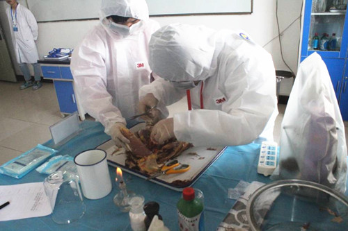 1521776554621075804.jpg Cache_-6f4e16d054112ed6._鍓湰.jpg