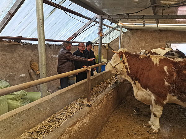 1639005822629419.jpg W020211209271241806043.jpg