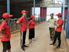 1537520913435049144.jpg 729f84a0e0036613_鍓湰2.jpg