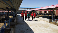 1537520990552046702.jpg -494720bb29fe9915_鍓湰4.jpg