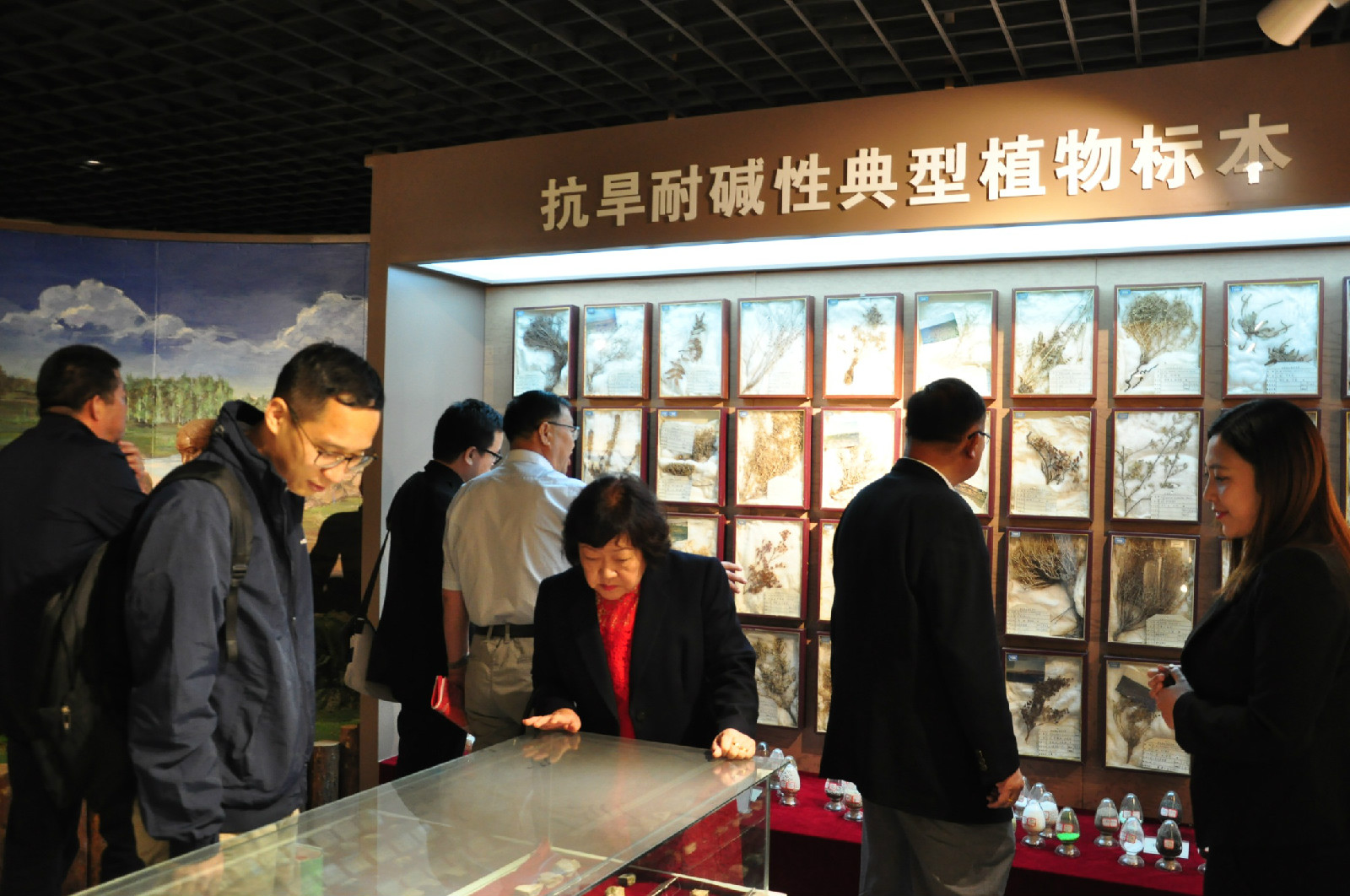 1559091085130042460.jpg 1559091085130042460.jpg