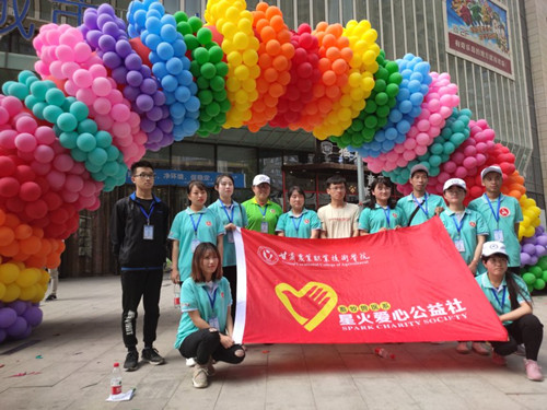 1559608856915047049.jpg 4.jpg