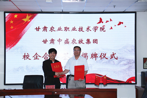 1559177288427006693.jpg 4.jpg