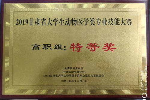 1575939693027056337.png QQ截图20191210085841_副本.png