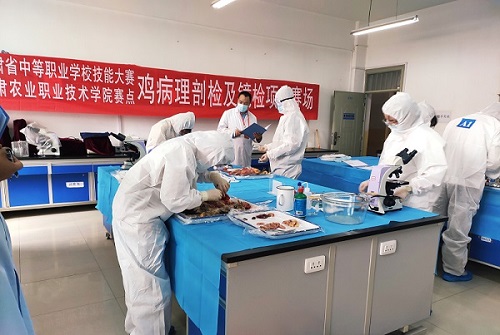 1590633471199096436.jpg 1.jpg