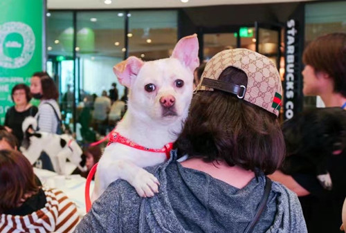 1526352038896090670.jpg 鏉俖鍓湰.jpg