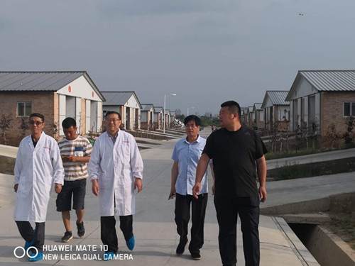 1560503050275065231.jpg 2.jpg