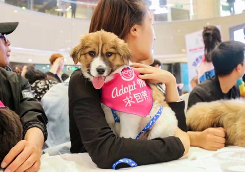 1526351856726094486.jpg psb (4)_鍓湰.jpg