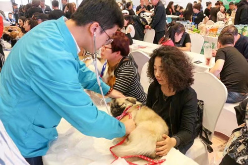 1526351839184065758.jpg psb (11)_鍓湰.jpg