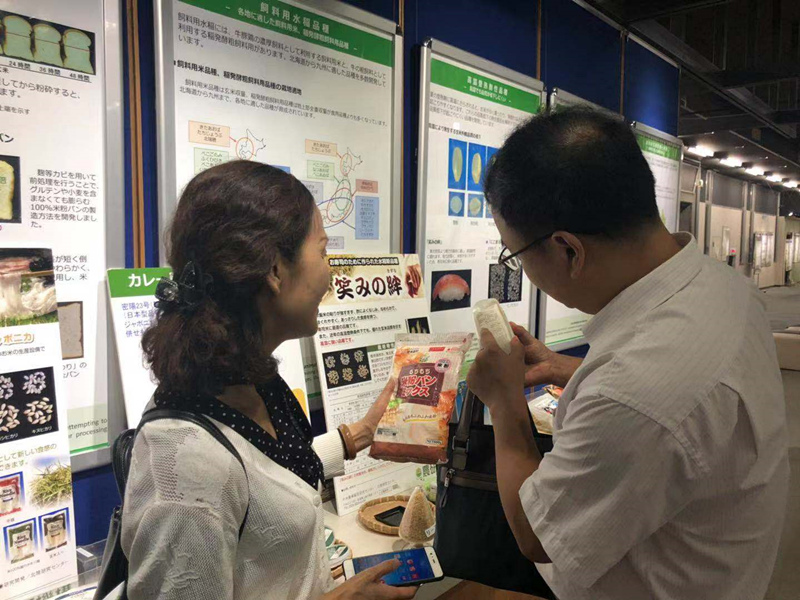 1567135908764055003.jpg mmexport1564009144862_鍓湰.jpg