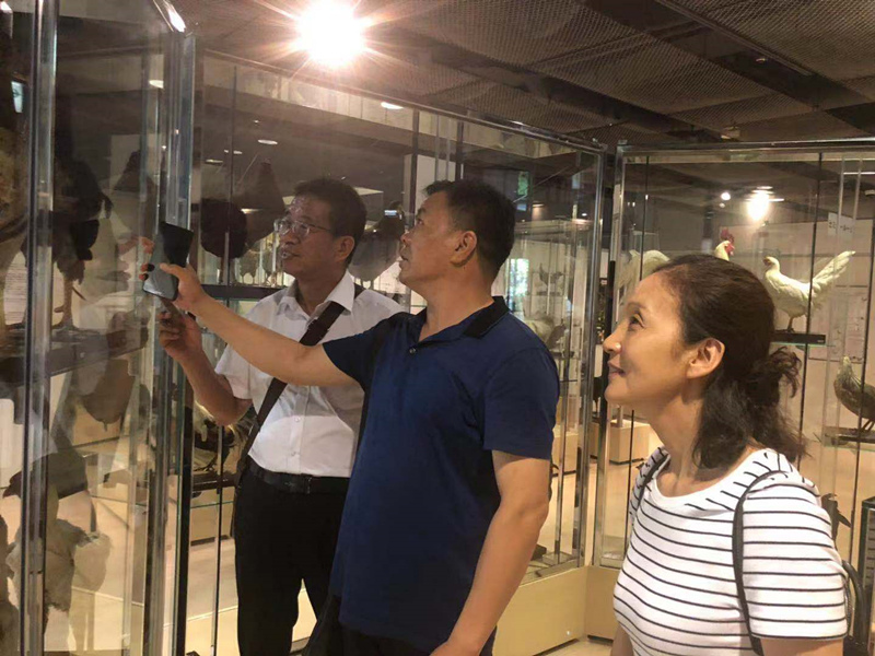 1567135983438036203.jpg mmexport1564010857316_鍓湰.jpg