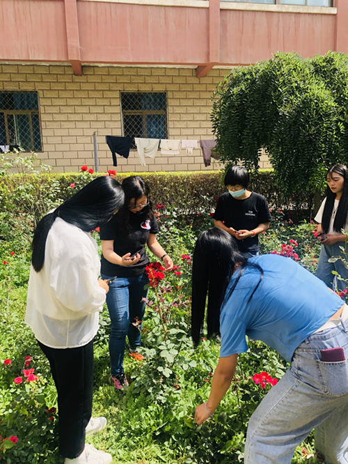 1593737914237079191.jpg IMG_6689(20200702-152138)_鍓湰.jpg