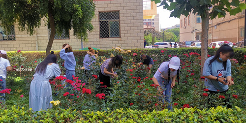 1593737890278016457.jpg 8@T976ZJOW$U62_{K%K9VD0_鍓湰.jpg