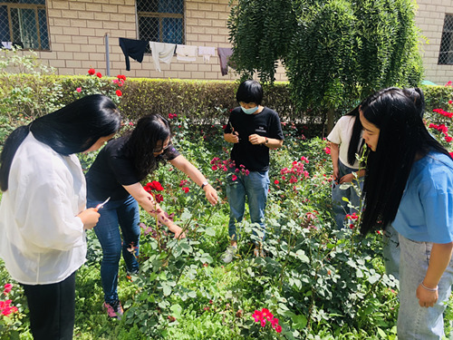 1593737907389074046.jpg IMG_6687(20200702-151642)_鍓湰.jpg