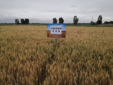 1620868783581011348.png 1620868783581011348.png