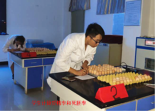 1530495237918056310.png 4_鍓湰.png