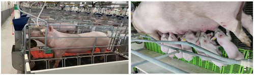 实习生系列一 图2.png