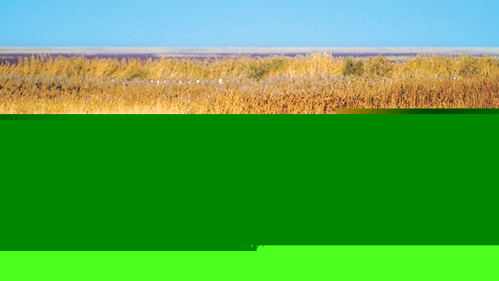 1635465773777944.jpg W020211029255592555547.jpg