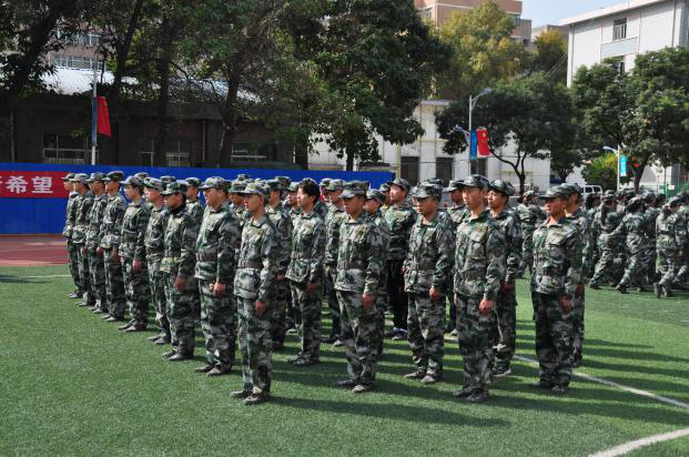 1603531405729057921.png 1603268850043062744.png