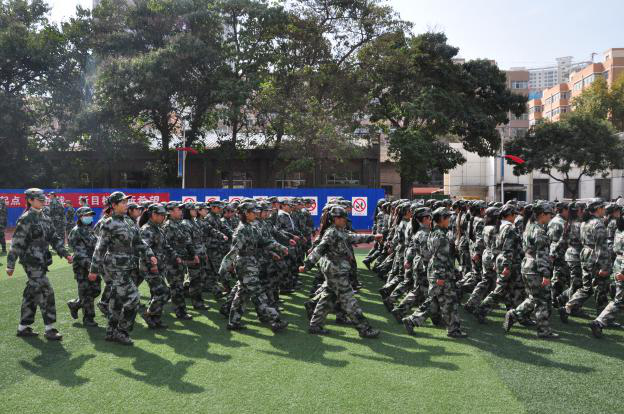 1603531389729080463.png 1603268850022049213.png