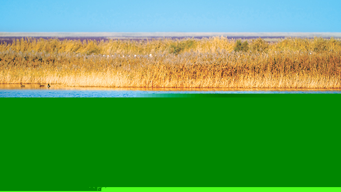 1635465773777944.jpg W020211029255592555547.jpg