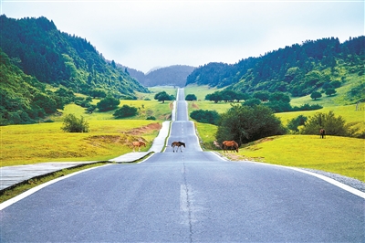 1639091748479900.jpg wKinmmGyOqaANLpNAAGiIoZA1rs766.jpg