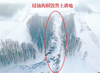 1643240314968241.jpeg 2.jpeg