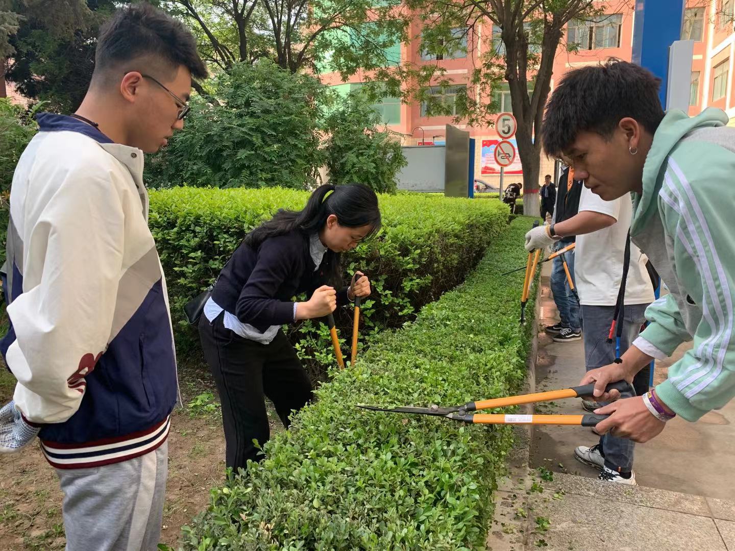 1621905917149062317.jpg 5.jpg