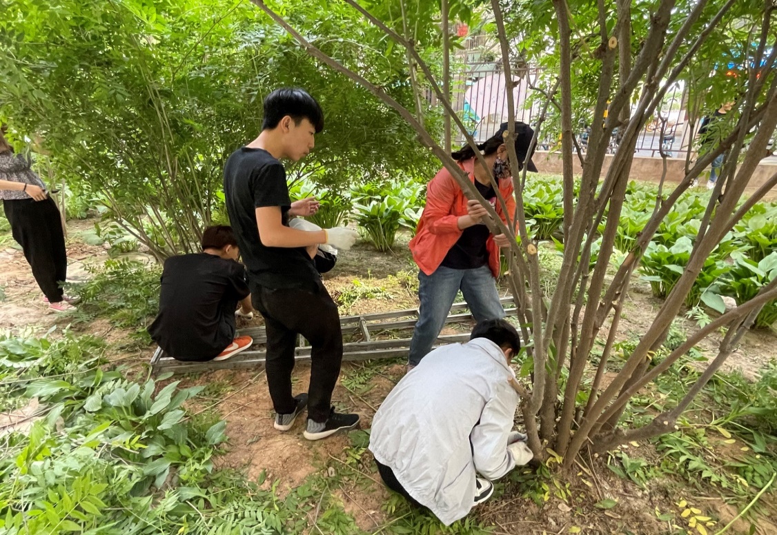 1621905877231031956.jpg 4.jpg