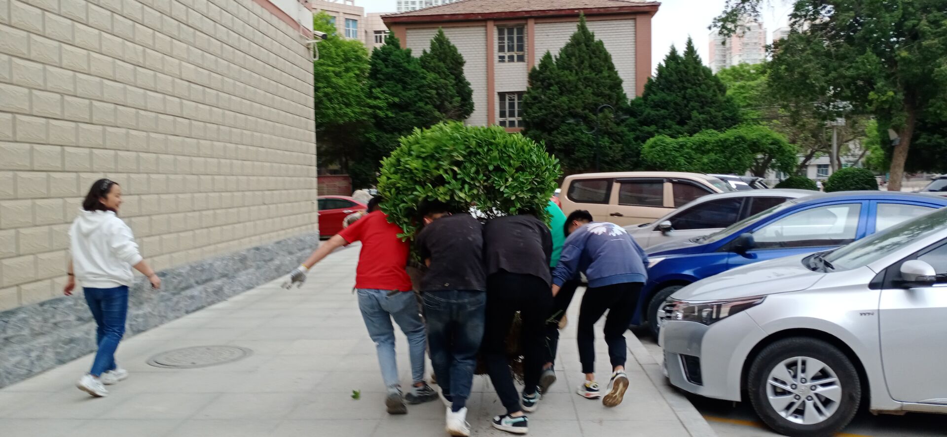 1620783964071028520.jpg 2.jpg