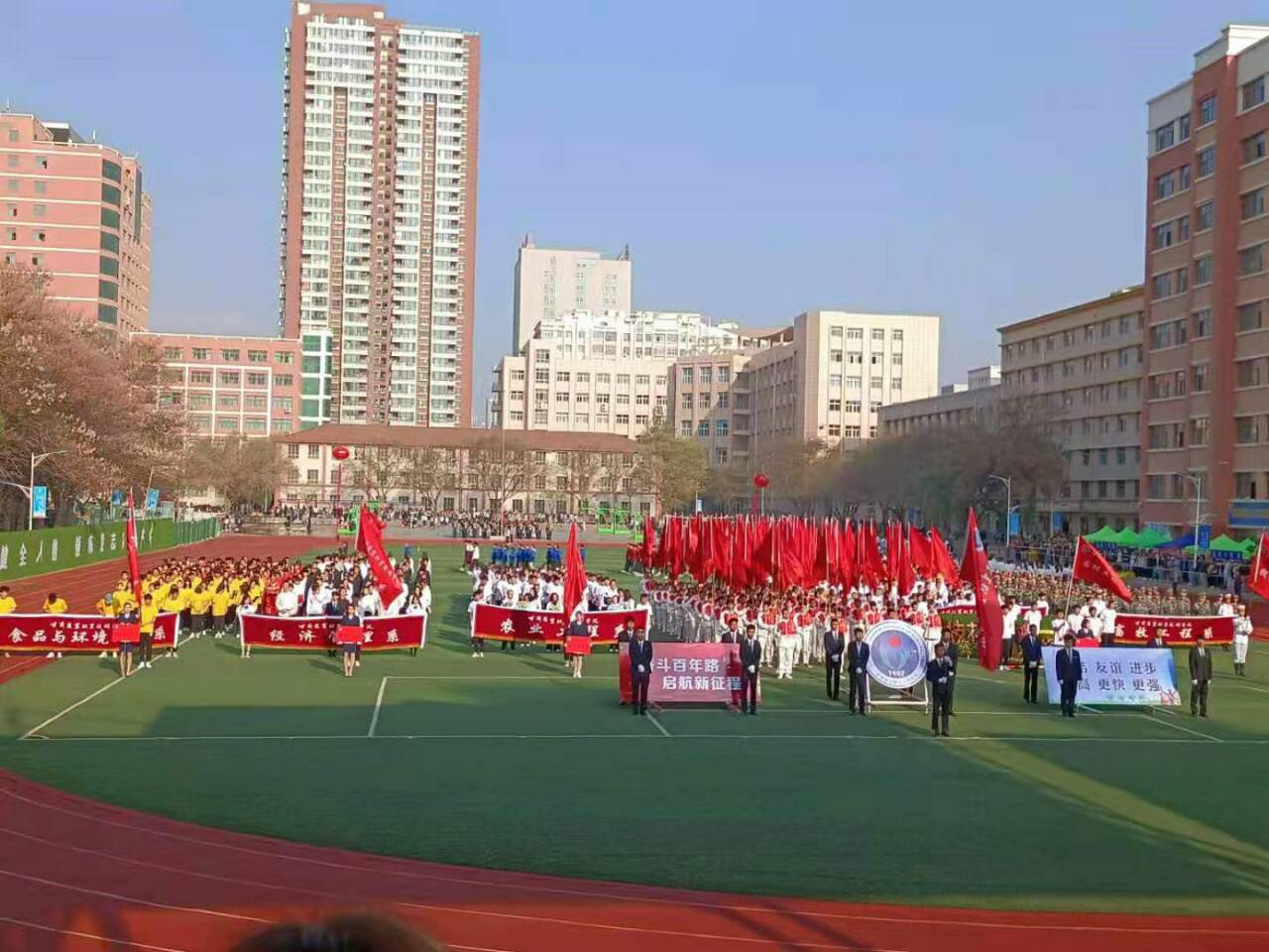 1619670769855068208.jpg 1.jpg