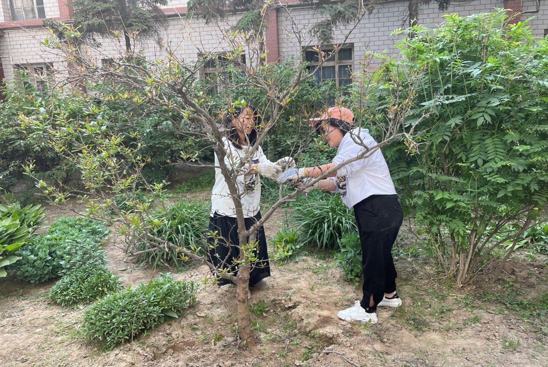 1621905852191019061.jpg 3.jpg