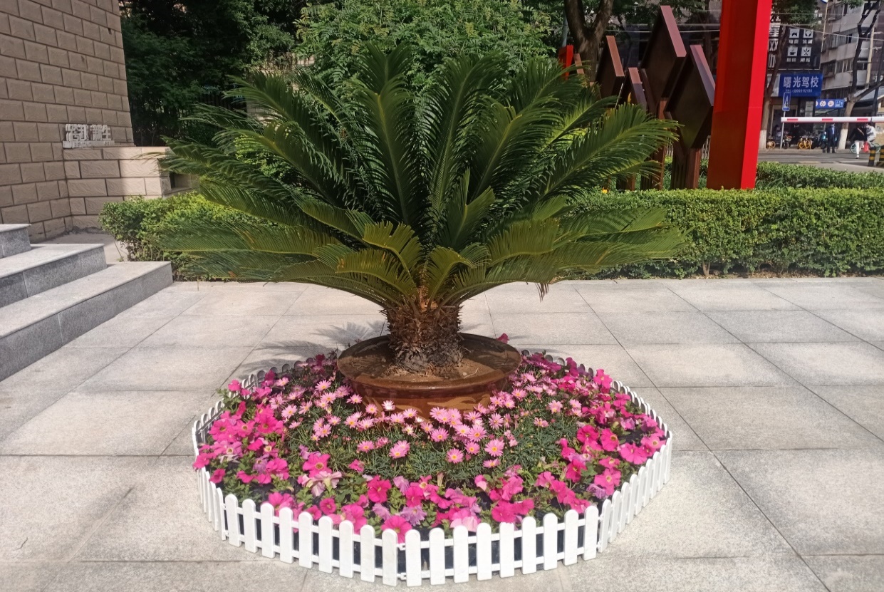 1621905822000068182.jpg 2.jpg