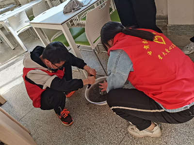 1615858305525018911.png 鍥剧墖4.png