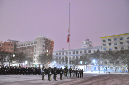 1551259392548010149.png image.png