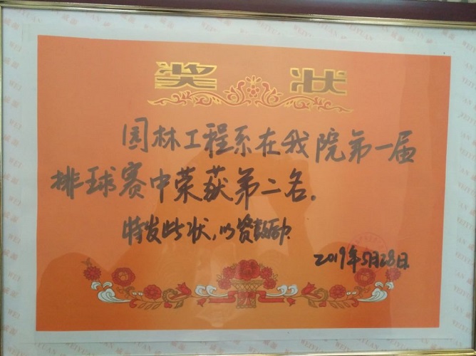 1559553743350010475.jpg 1.jpg