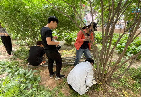 1622777321509051672.png image.png