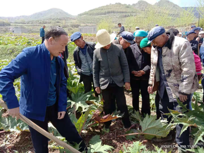 1620435324191064310.png 1620435324191064310.png