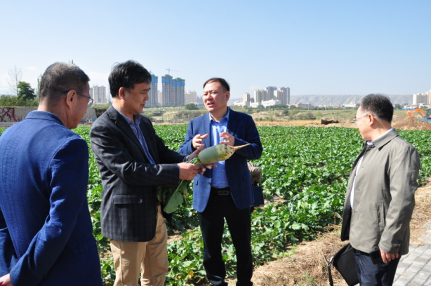 1601459870350035223.png 1601459870350035223.png